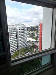 Blk 273D Atrina (Sengkang), HDB 4 Rooms #538414221